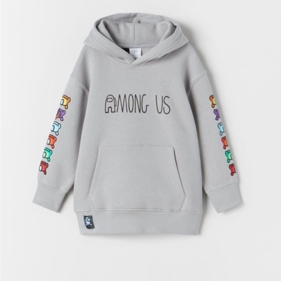 Zara Other - Zara's sweater  For a 10 year old boy